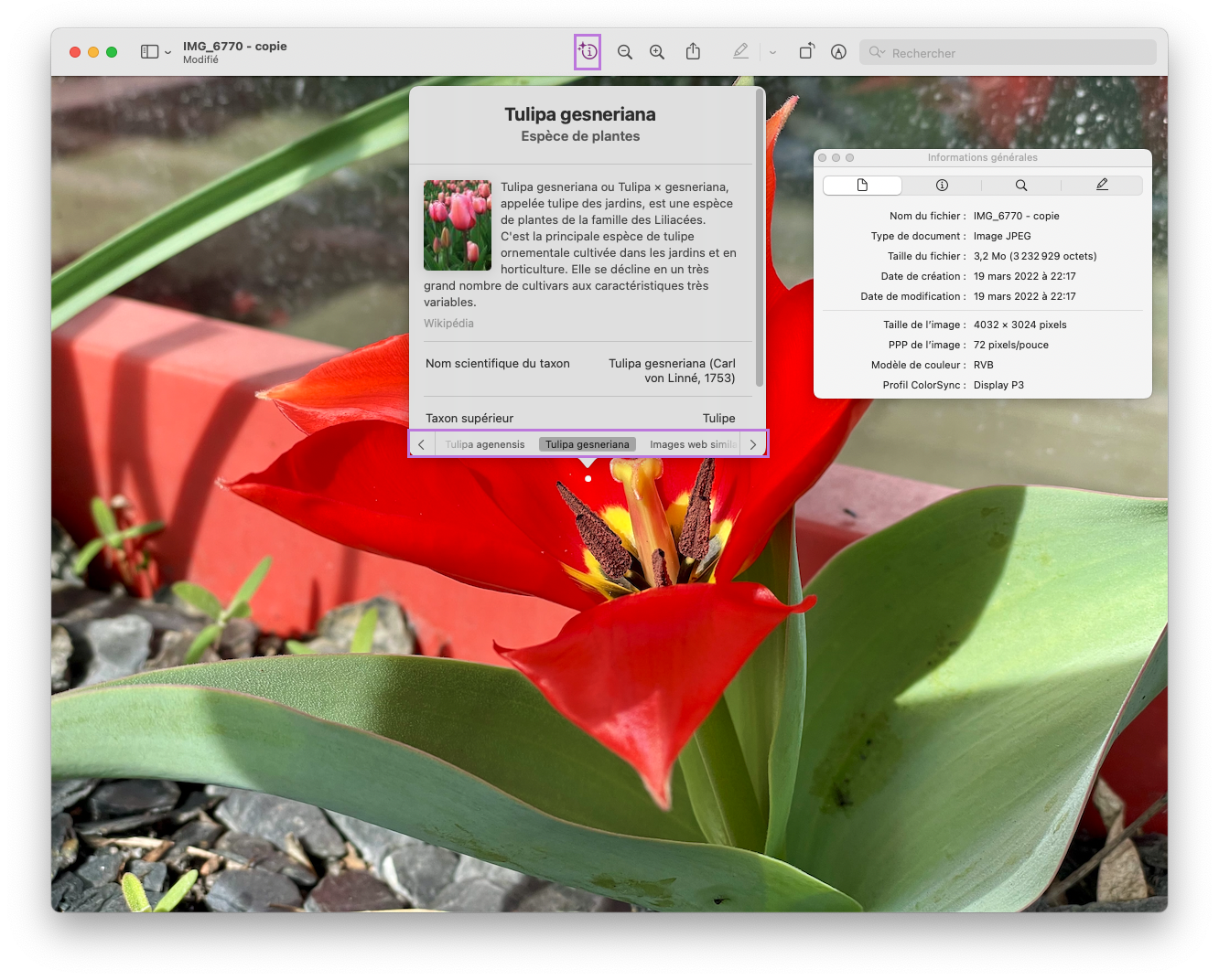 Comment obtenir des informations sur une photo grâce à la Recherche visuelle sur iPhone, iPad et Mac ?