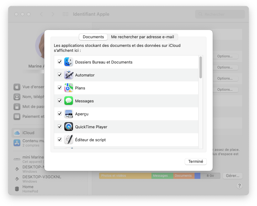 Mac : Préferences systeme > Identifiant Apple > iCloud > Options iCloud Drive