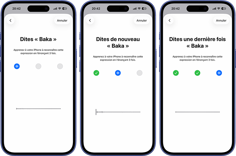 Entra&icirc;ner l'expression personnalis&eacute;e