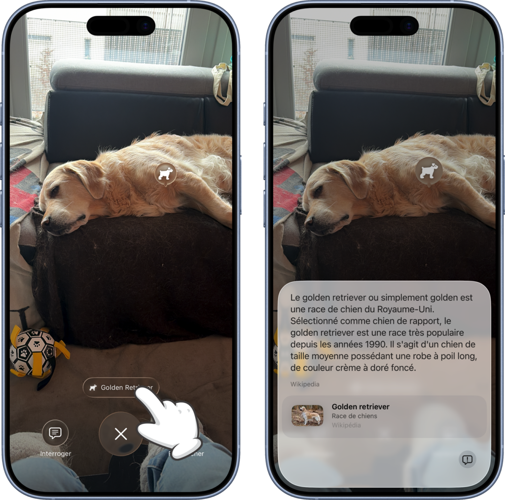 Obtenir des informations sur l'&eacute;l&eacute;ment identifi&eacute;