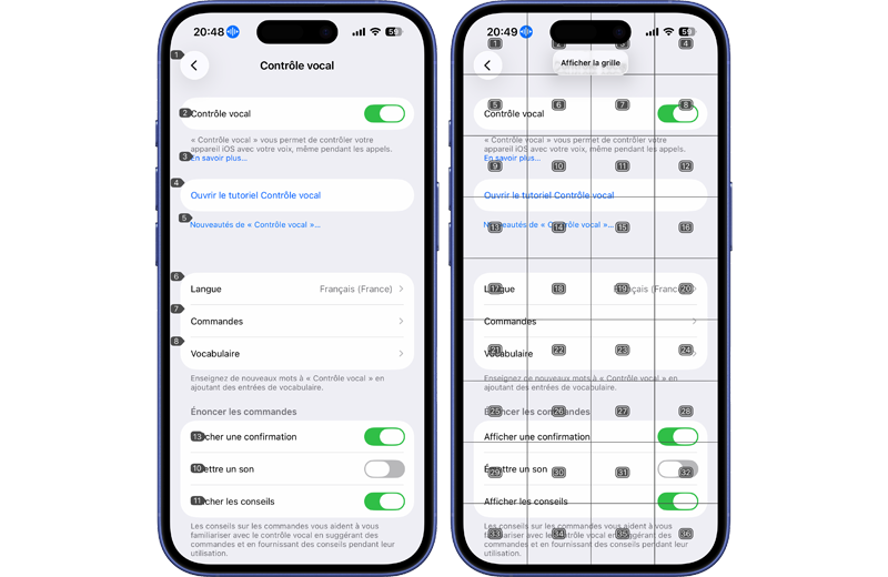 Num&eacute;ros et grille pour utiliser le Contr&ocirc;le vocal sur iPhone