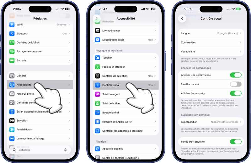 R&eacute;glages du Contr&ocirc;le vocal