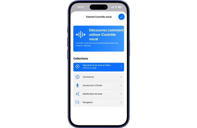 Extrait du tutoriel du Contr&ocirc;le vocal